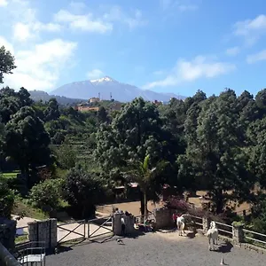 Riendas Vivas , La Guancha Spanien
